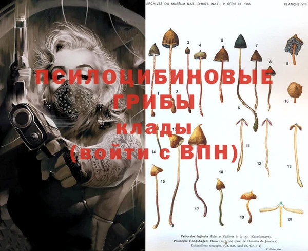 спайс Волоколамск