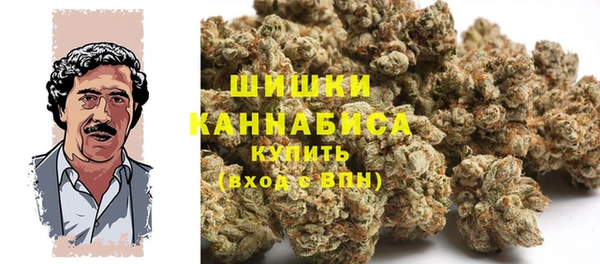 амф Володарск