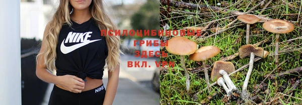 амф Володарск