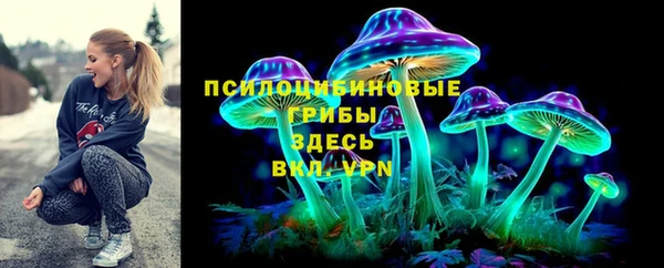 амф Володарск