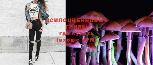 амф Володарск