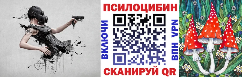 дарк нет клад  блэк спрут маркетплейс  Галлюциногенные грибы прущие грибы  Ессентукская  где продают наркотики 
